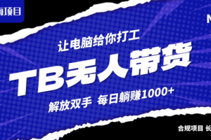 （12742期）淘宝无人直播最新玩法，不违规不封号，轻松月入3W+