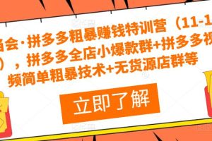 叮当会·拼多多粗暴赚钱特训营，拼多多全店小爆款群+拼多多视频简单粗暴技术+无货源店群等