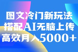 （8097期）图文冷门新玩法，搭配AI无脑上传，高效月入5000+