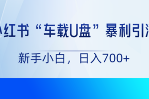 小红书“车载U盘”项目，暴利引流，新手小白轻松日入700+