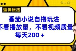 番茄小说自撸玩法，不看播放量，不看视频质量，每天200+【揭秘】