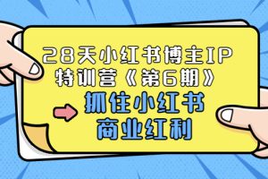 （3287期）28天小红书博主IP特训营《第6期》，抓住小红书商业红利 (价值1999)