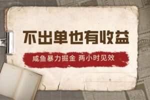 （10562期）2024咸鱼暴力掘金，不出单也有收益，两小时见效，当天突破500+