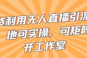 不卖货利用无人直播引流视频教程，地可实操，可矩阵，可开工作室【揭秘】