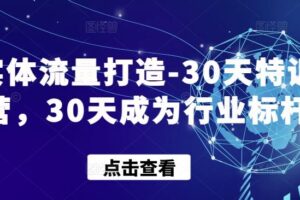 实体流量打造-30天特训营，30天成为行业标杆