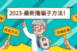 （4798期）最新反撸骗子方法日赚200+【16个找车方法+发车渠道】视频+文档(2月16更新)