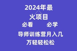 （9301期）导师训练营互联网最牛逼的项目没有之一，新手小白必学，月入3万+轻轻松松