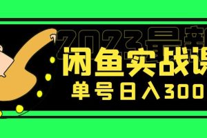 （5117期）花599买的闲鱼项目：2023最新闲鱼实战课，单号日入300+（7节课）