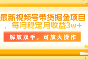 （11010期）最新视频号带货掘金项目，每月稳定月收益3w+，解放双手，可放大操作