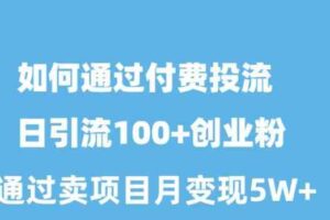 （10189期）如何通过付费投流日引流100+创业粉月变现5W+