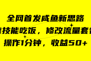 （7508期）咸鱼冷门新玩法，靠“技能吃饭”，修改流量套餐，操作1分钟，收益50+