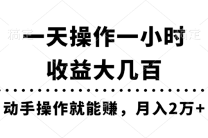 （11263期）一天操作一小时，收益大几百，动手操作就能赚，月入2万+教学