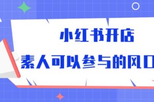 小红书开店，素人可以参与的风口（39节视频课程）