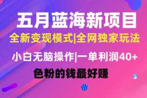 （10477期）五月蓝海项目全新玩法，小白无脑操作，一天几分钟，矩阵操作，月入4万+