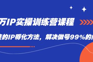 （7354期）百万IP实战训练营课程，完整的IP孵化方法，解决做号99%的问题