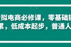 淘系虚拟电商必修课，零基础搞定原始积累，低成本起步，普通人可干