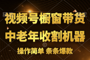 （11009期）[你的孩子成功取得高位]视频号最火爆赛道，橱窗带货，流量分成计划，条…