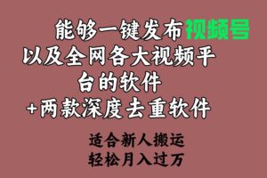 （9319期）能够一键发布视频号以及全网各大视频平台的软件+两款深度去重软件 适合…