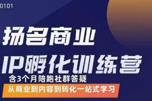 王扬名·商业IP孵化训练营，从商业到内容到转化一站式学习