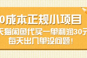 （3346期）0成本正规小项目：天猫闲鱼代买一单利润30元，每天出几单没问题！