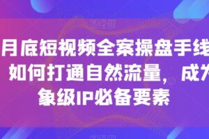 12月底短视频全案操盘手线下课，如何打通自然流量，成为想象级IP必备要素