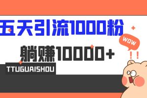 （6745期）5天引流1000+，赚了1w+