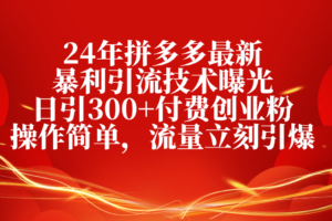 （10559期）24年拼多多最新暴利引流技术曝光，日引300+付费创业粉，操作简单，流量…