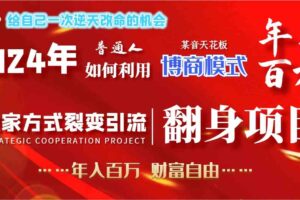 （9027期）2024年普通人如何利用博商模式做翻身项目年入百万，财富自由