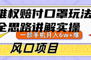 维权赔付口罩玩法，小白也能月入6w+，风口项目实操