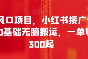 全新风口项目，小红书接广告变现，0基础无脑搬运，一单收入300起