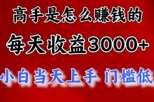 （11228期）高手是怎么赚钱的，一天收益3000+ 这是穷人逆风翻盘的一个项目，非常…