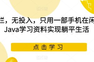 无门栏，无投入，只用一部手机在闲鱼卖Java学习资料实现躺平生活【揭秘】