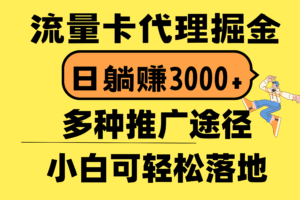 （10771期）流量卡代理掘金，日躺赚3000+，首码平台变现更暴力，多种推广途径，新…