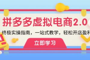 （12453期）拼多多 虚拟项目-2.0：终极实操指南，一站式教学，轻松开店盈利