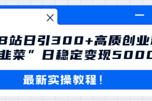 （8216期）最新B站日引300+高质创业粉教程！“割韭菜”日稳定变现5000+！