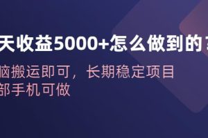 一天收益5000+怎么做到的？无脑搬运即可，长期稳定项目，一部手机可做【揭秘】