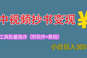 （6246期）2023中视频抄书变现（附工具+教程），一天300+，特别适合新手操作的副业