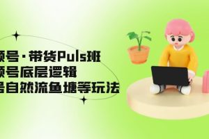 （5027期）视频号·带货Puls班，视频号底层逻辑，起号自然流鱼塘等玩法