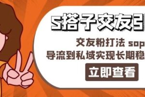 某收费888-S搭子交友引流，交友粉打法 sop，导流到私域实现长期稳定盈利