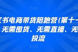 小红书电商带货陪跑营(第十一期)，无需囤货、无需直播、无需投流