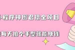 （6733期）抖音小程序神图君撸金项目，用手机每天拍个手型挂载一下小程序就能赚钱