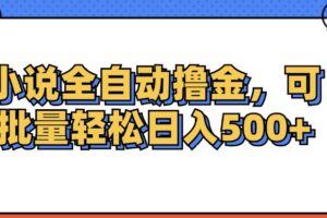 （12244期）小说全自动撸金，可批量日入500+