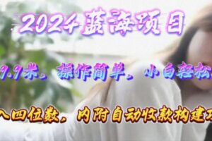 （10204期）年轻群体的蓝海市场，1单9.9元，操作简单，小白轻松上手，日入四位数