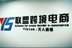 （5016期）Tiktok无人直播，不出镜不剪辑不拍摄不发货无售后的跨境短视频躺赚玩法