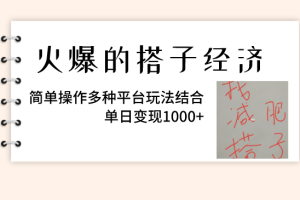 （8262期）火爆的搭子经济，简单操作多种平台玩法结合，单日变现1000+