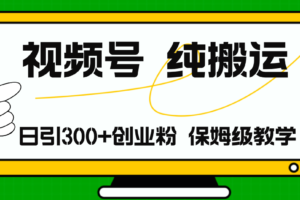 （11827期）视频号纯搬运日引流300+创业粉，日入4000+