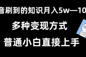 抖音刷到的知识，每天只需2小时，日入2000+，暴力变现，普通小白直接上手【揭秘】