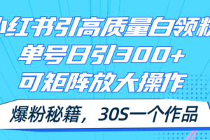 （11692期）小红书引高质量白领粉，单号日引300+，可放大操作，爆粉秘籍！30s一个作品