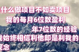 做项目不如卖项目，每月6位数盈利，年7位数经验