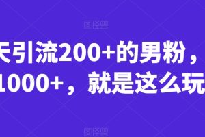 一天引流200+的男粉，日赚1000+，就是这么玩的【揭秘】